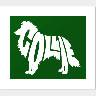 Collie white Posters and Art